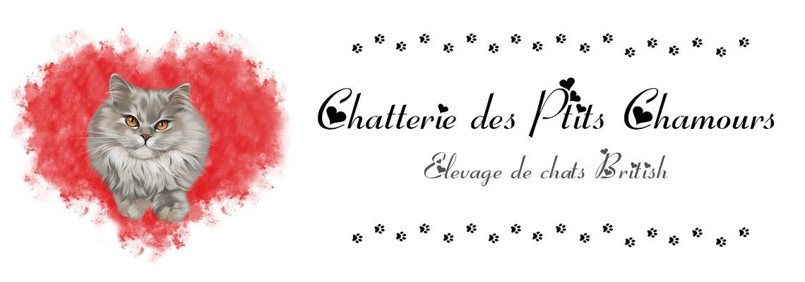 Chatterie des Ptits Chamours